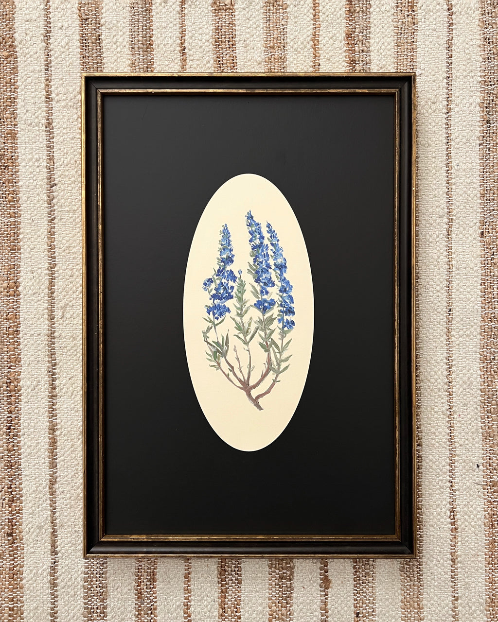 Botanicals of the Bible - Hyssop