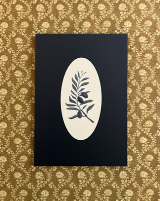 Botanicals of the Bible - Olives