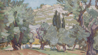 The Olive Grove
